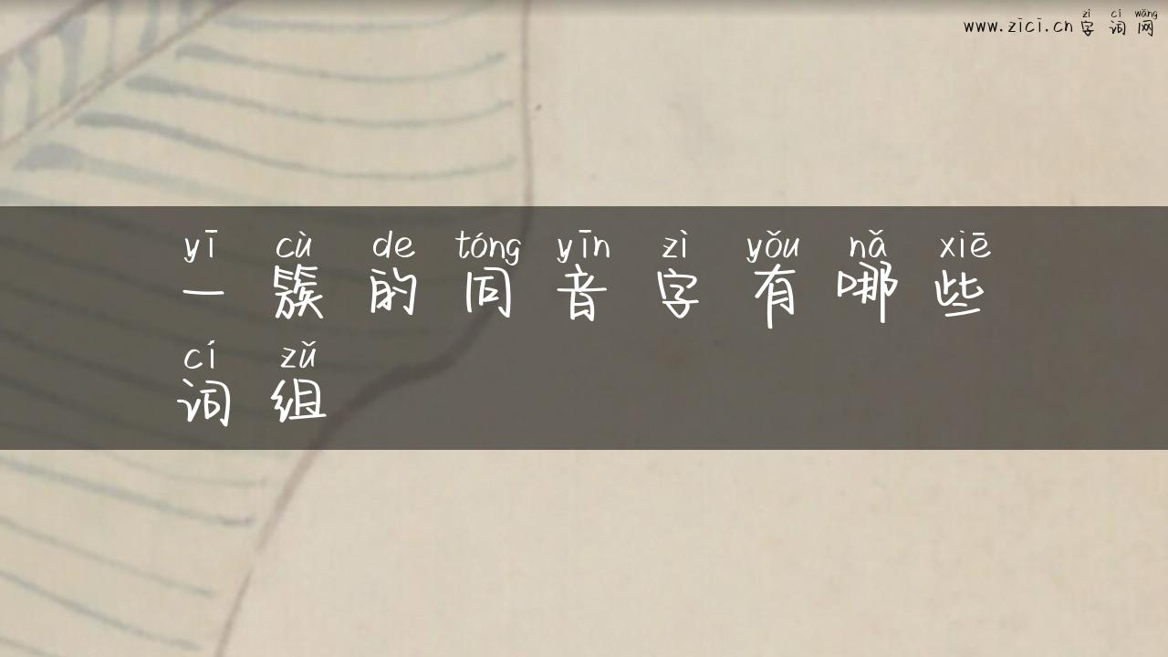 一簇的同音字有哪些词组