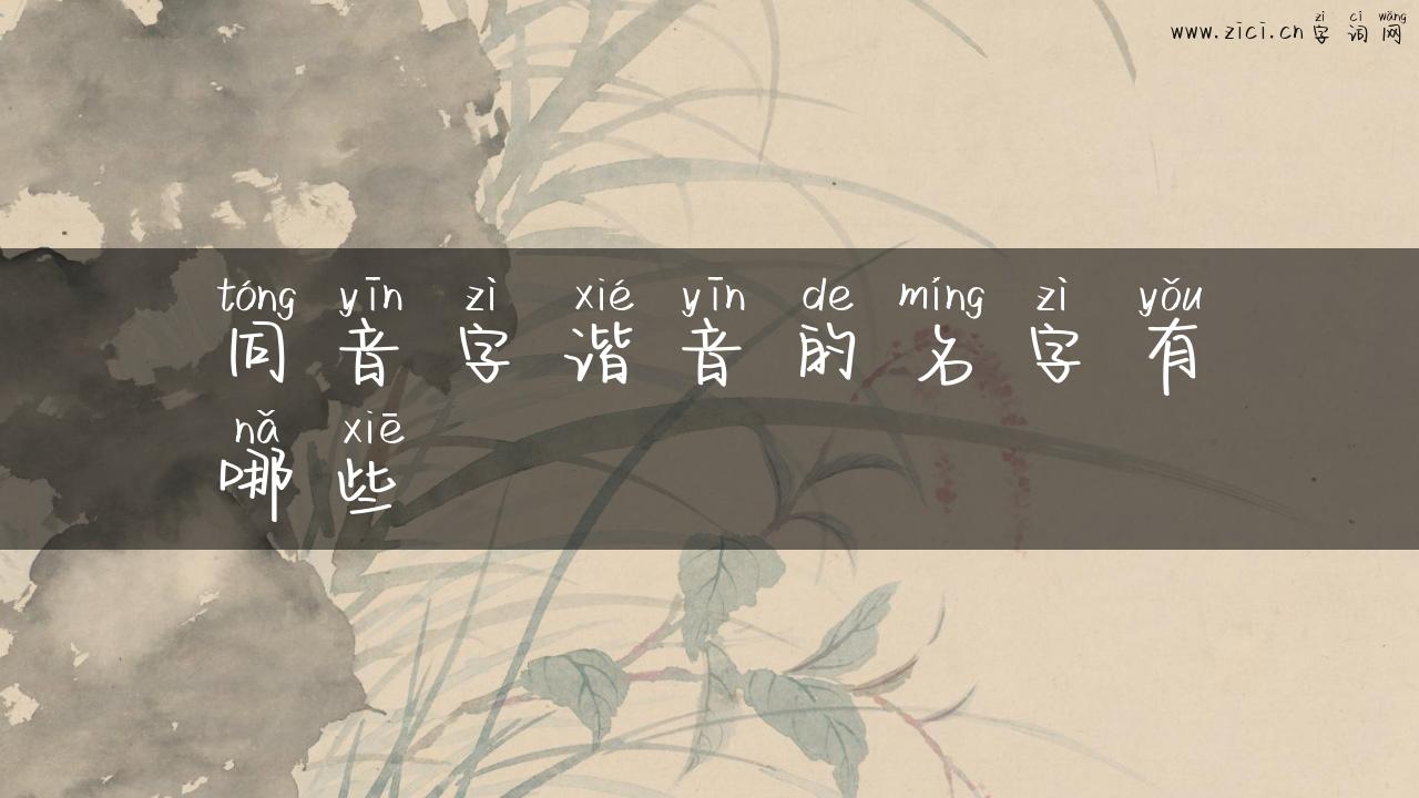 同音字谐音的名字有哪些