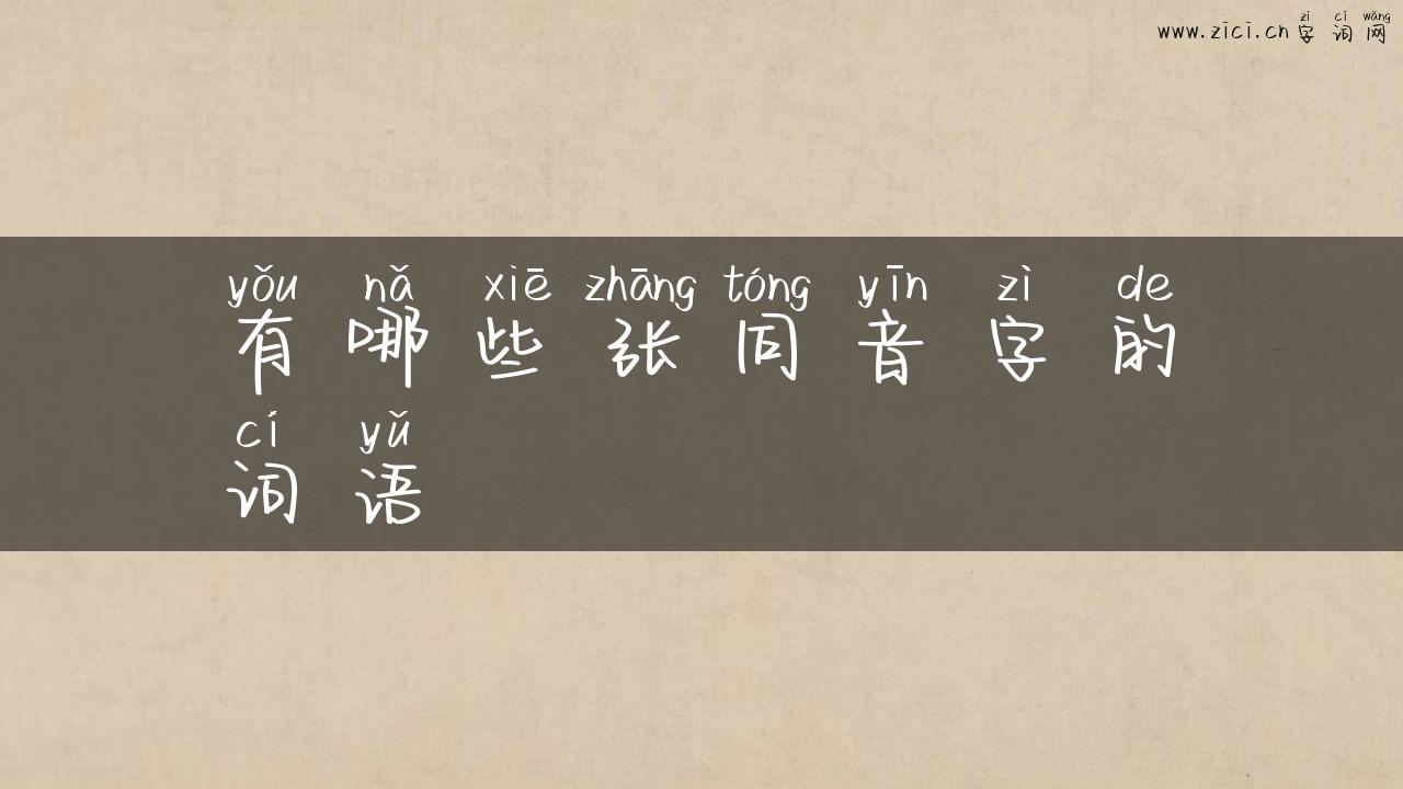 有哪些张同音字的词语