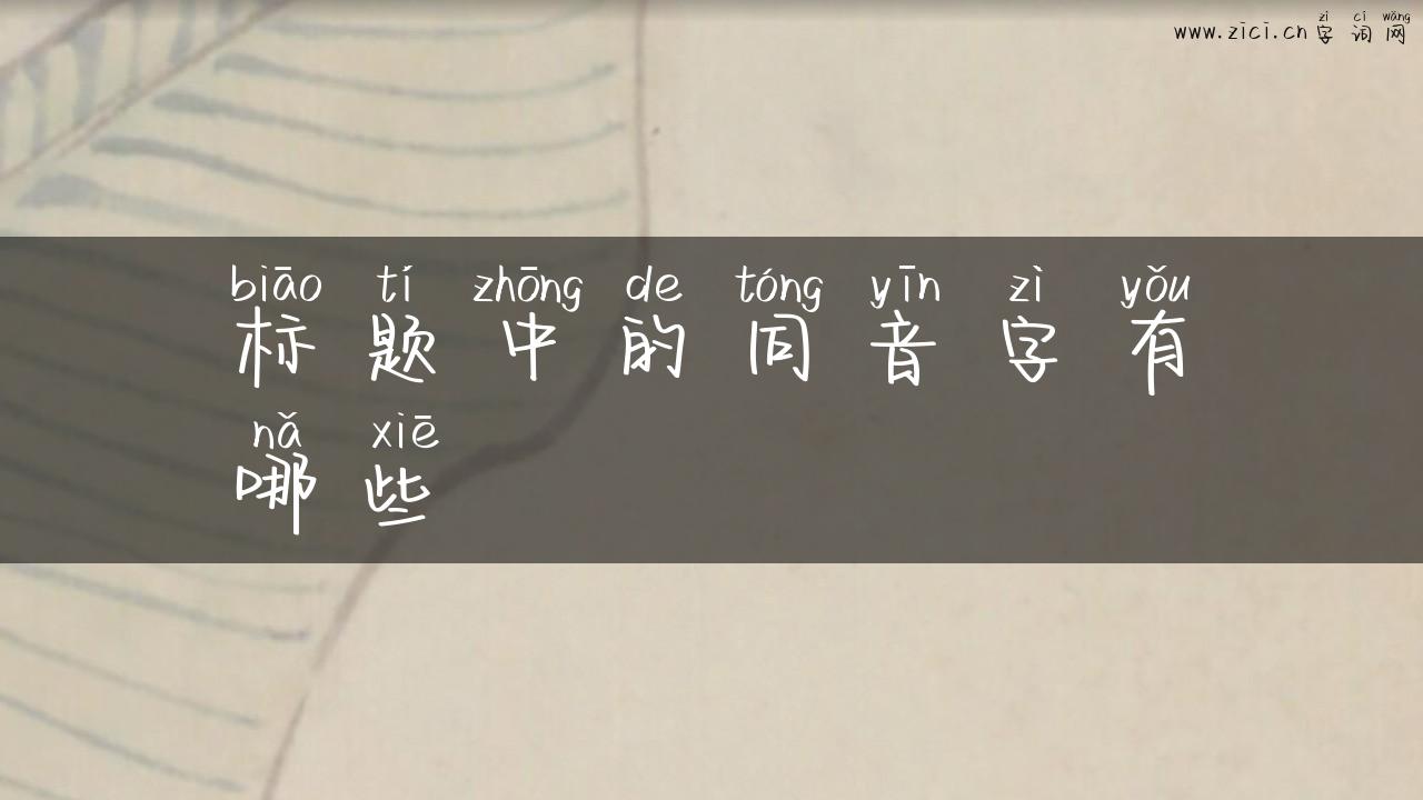 标题中的同音字有哪些