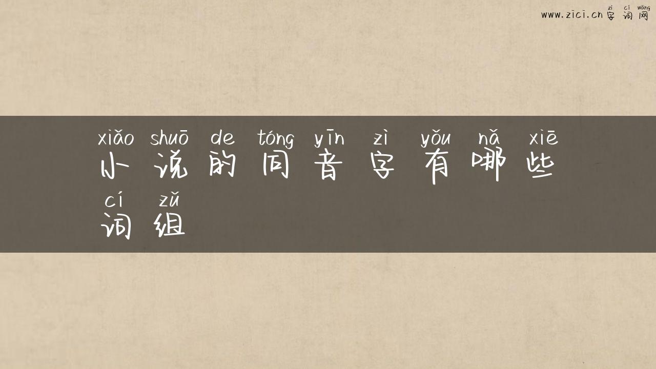 小说的同音字有哪些词组