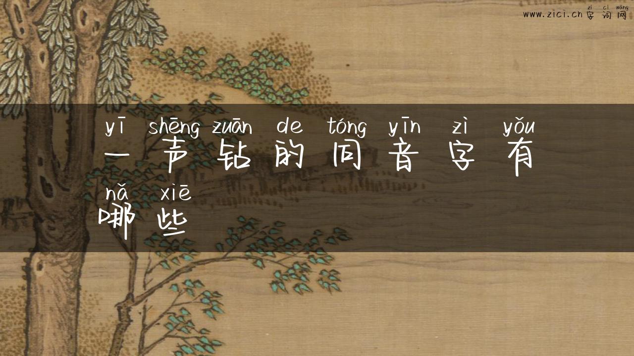 一声钻的同音字有哪些
