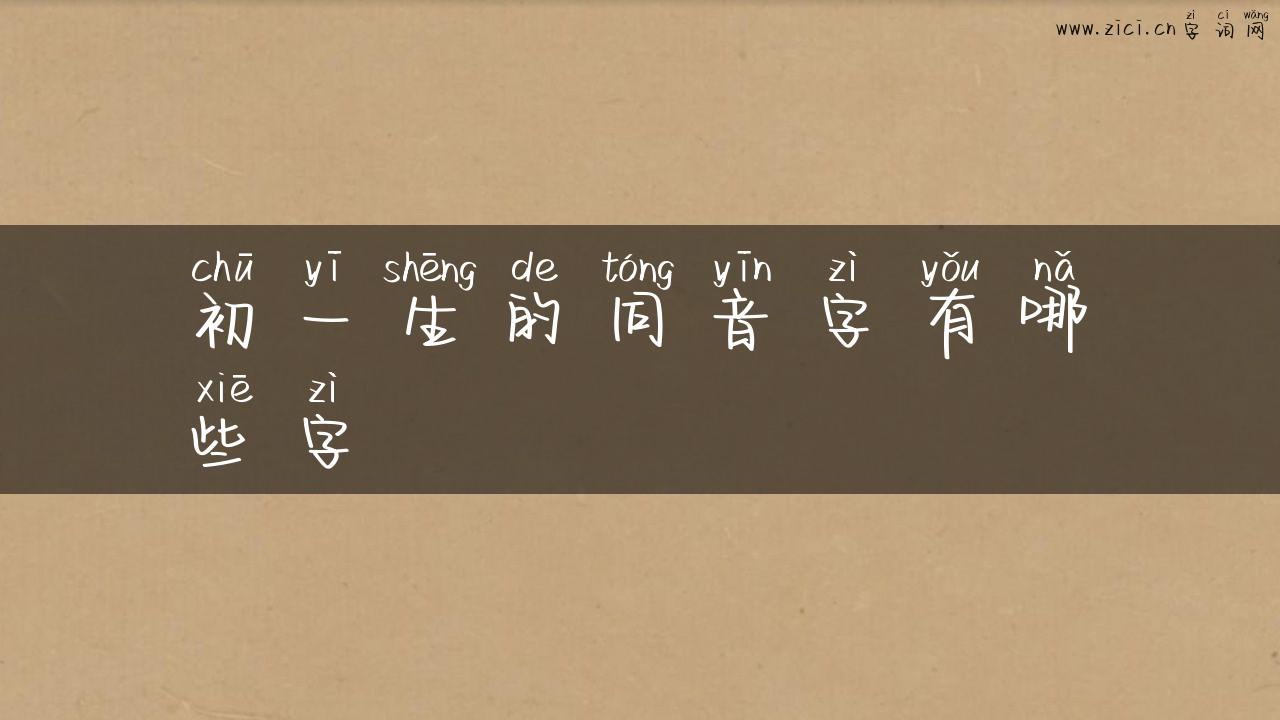 初一生的同音字有哪些字