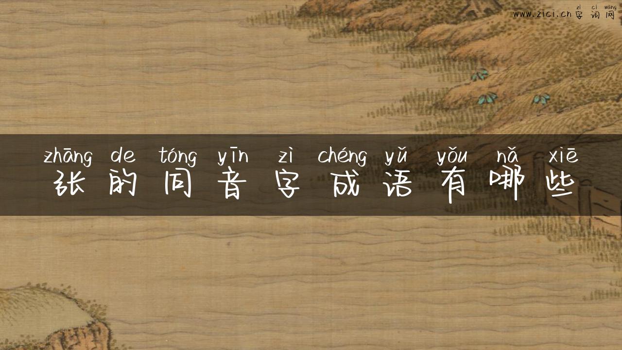 张的同音字成语有哪些