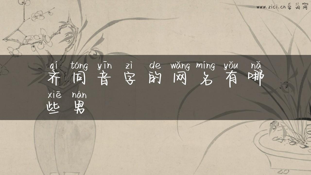 齐同音字的网名有哪些男