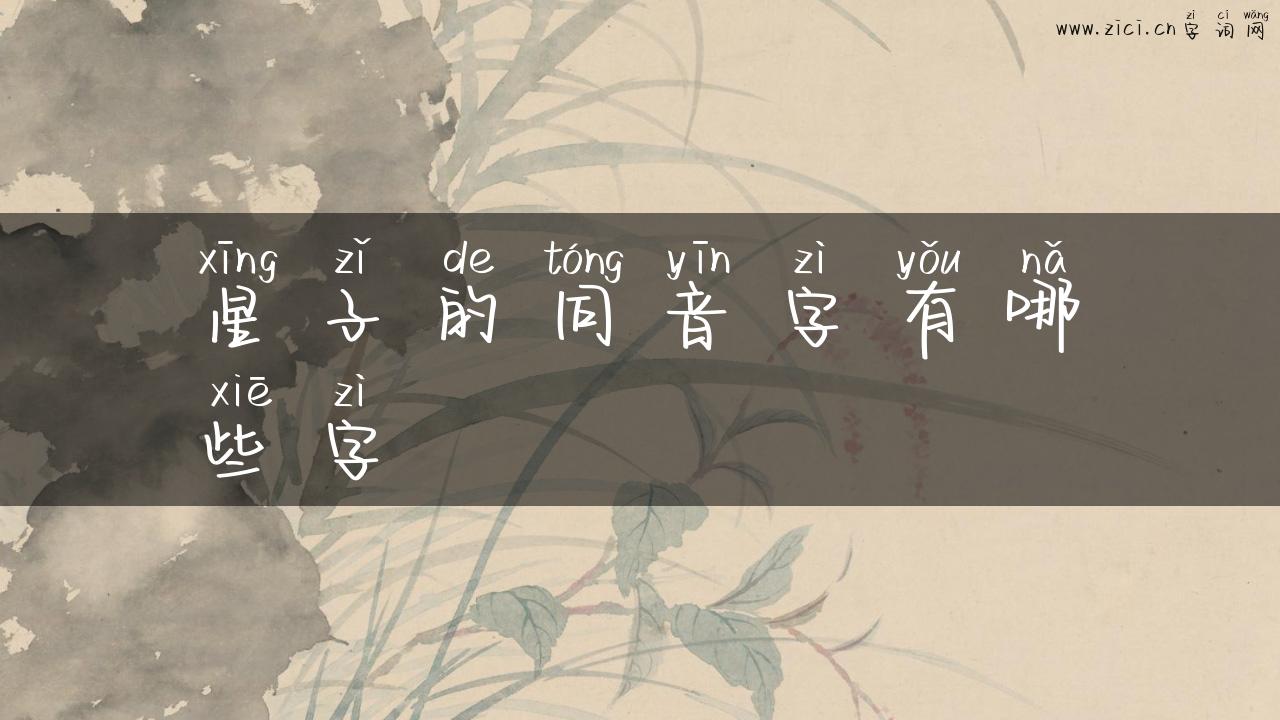 星子的同音字有哪些字
