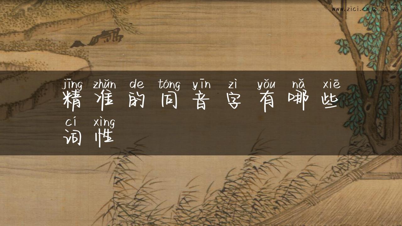 精准的同音字有哪些词性