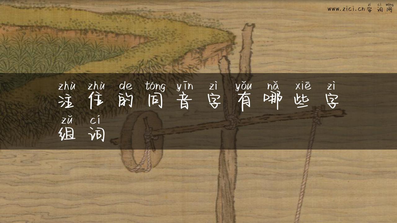 注住的同音字有哪些字组词