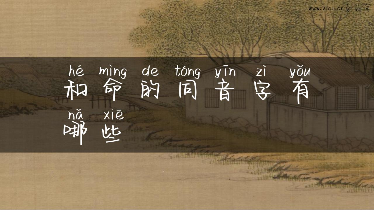 和命的同音字有哪些