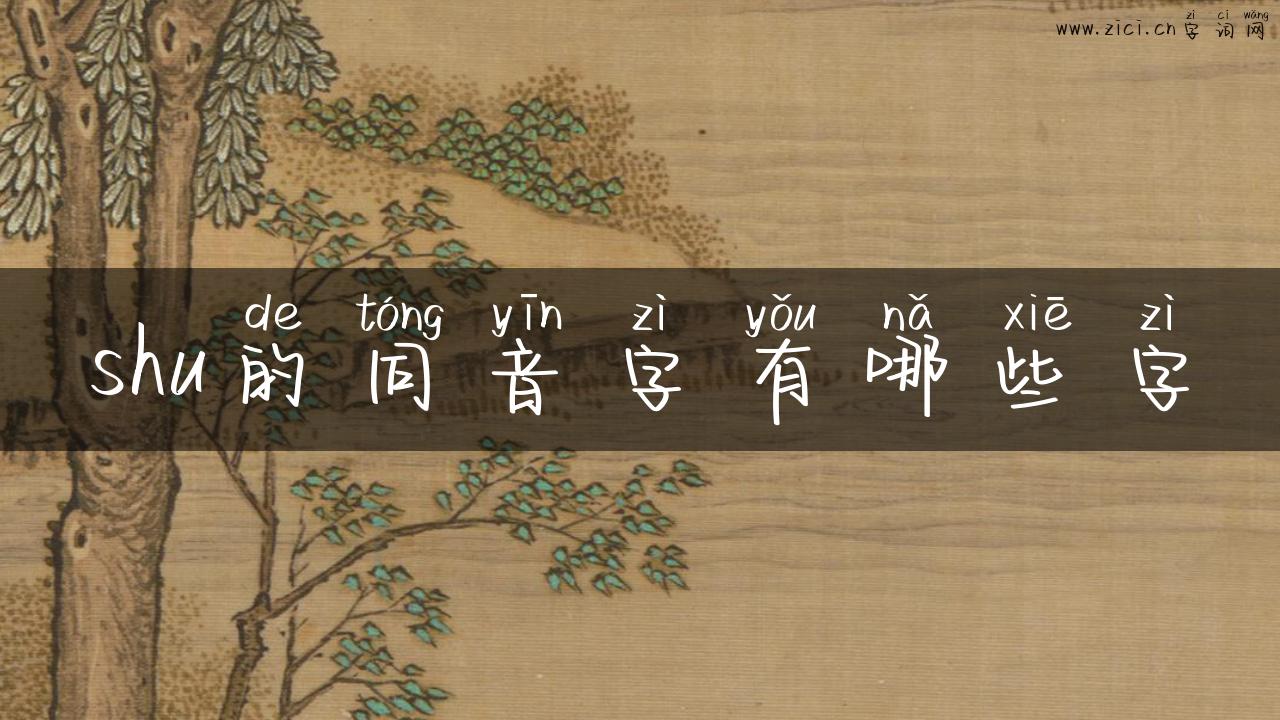 shu的同音字有哪些字