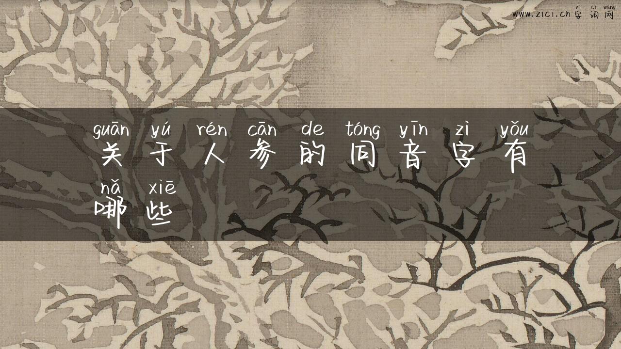 关于人参的同音字有哪些