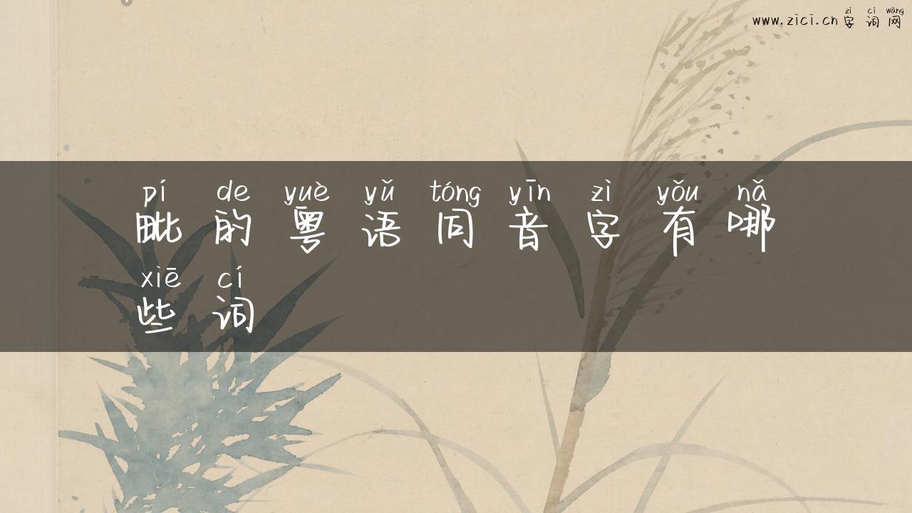毗的粤语同音字有哪些词