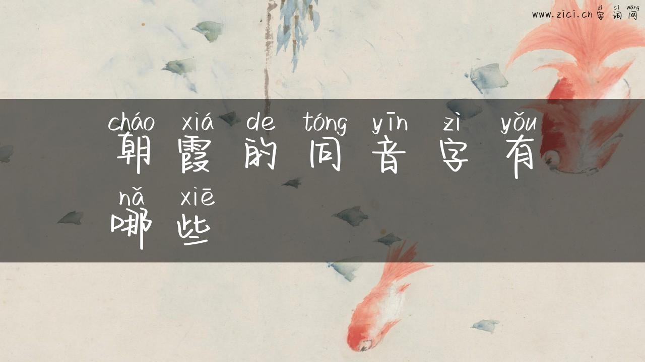 朝霞的同音字有哪些