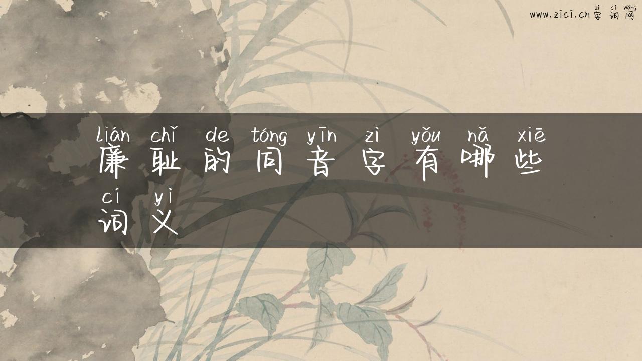 廉耻的同音字有哪些词义