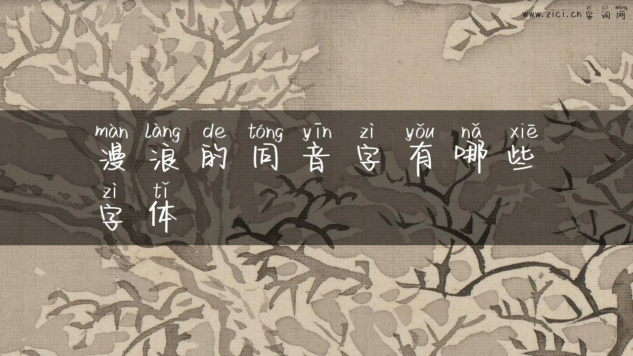 漫浪的同音字有哪些字体