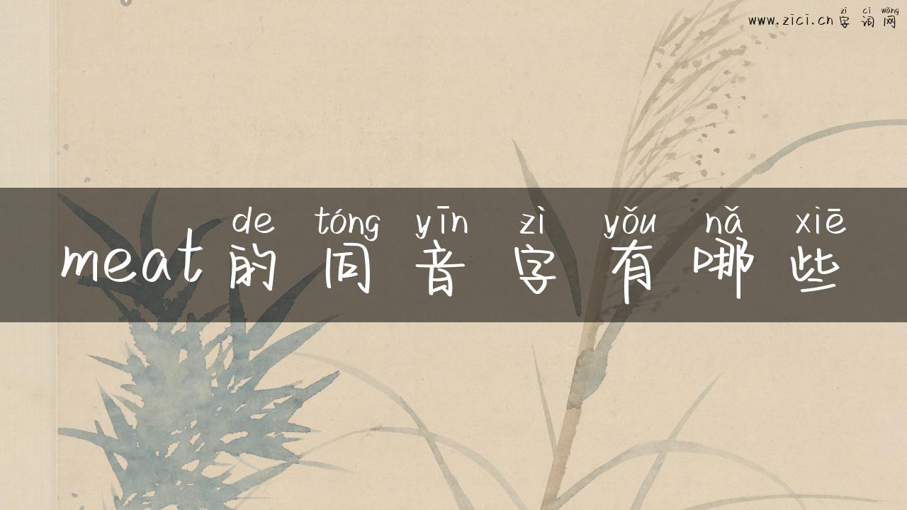 meat的同音字有哪些