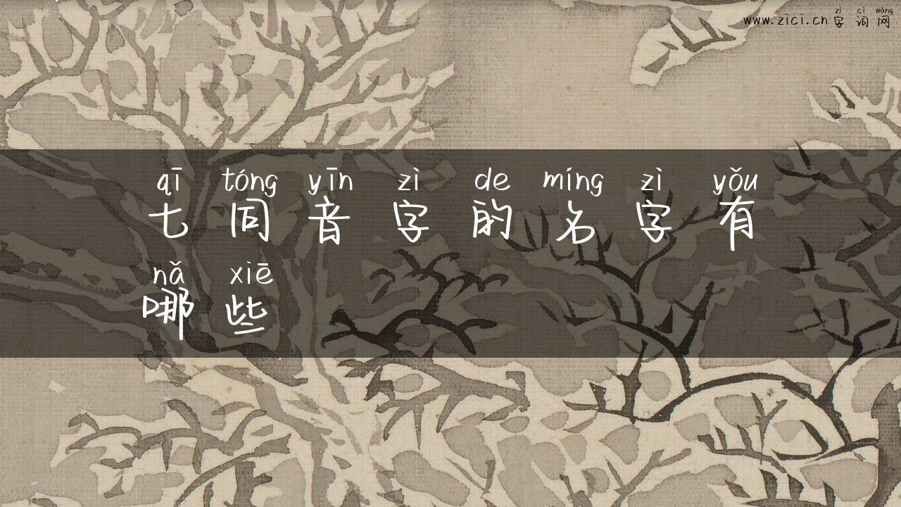 七同音字的名字有哪些