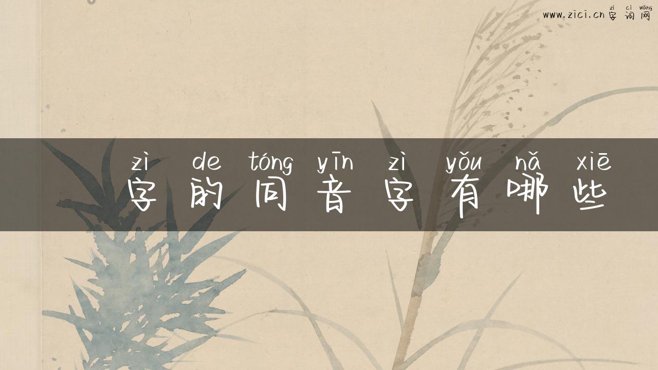 淉字的同音字有哪些