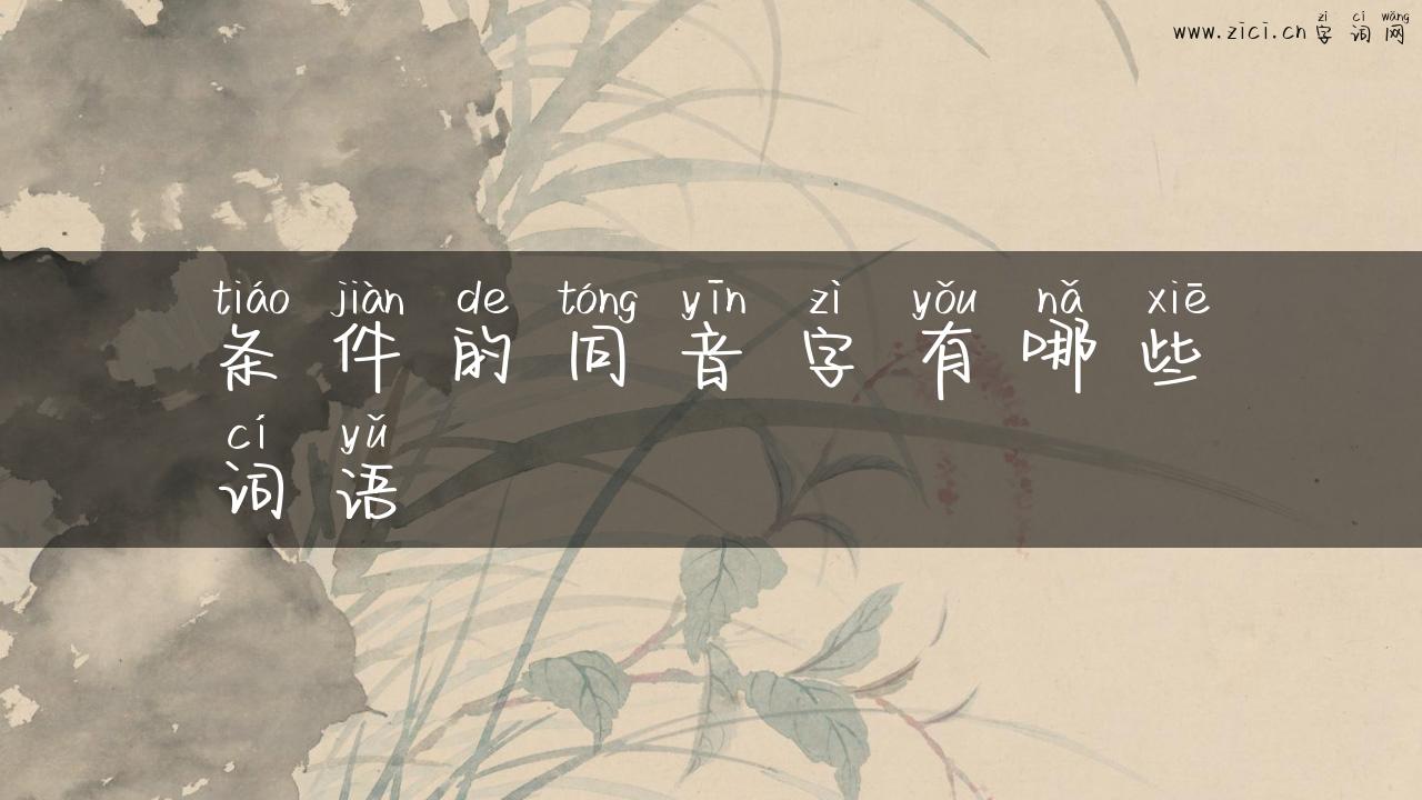 条件的同音字有哪些词语