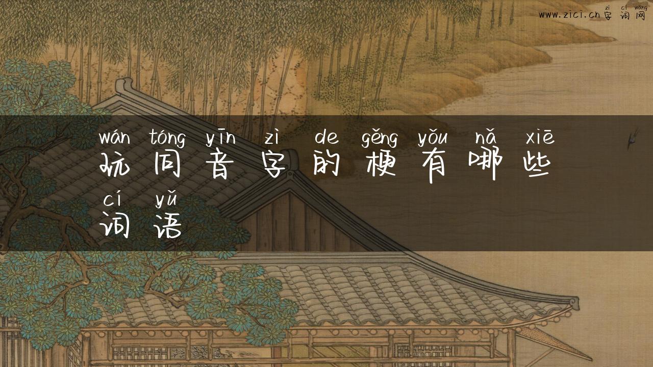 玩同音字的梗有哪些词语