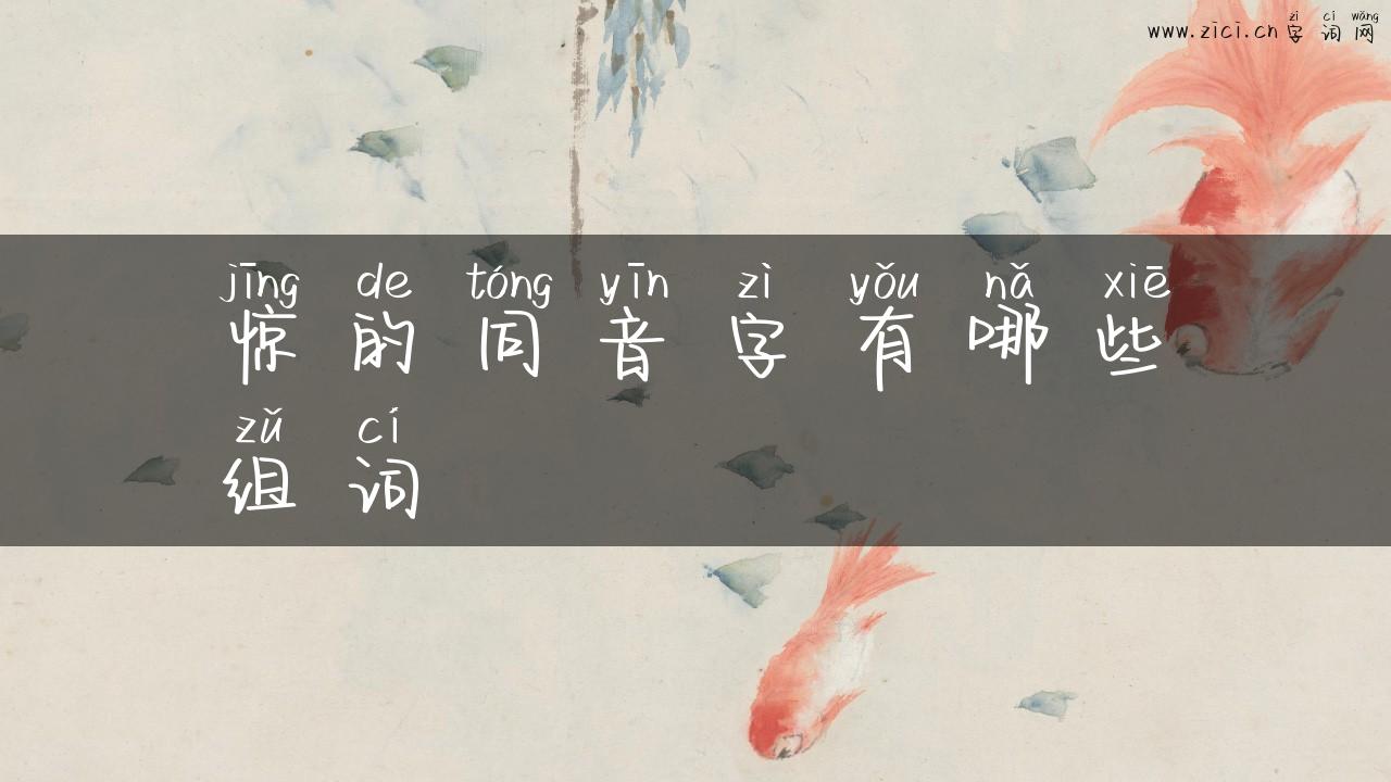 惊的同音字有哪些组词