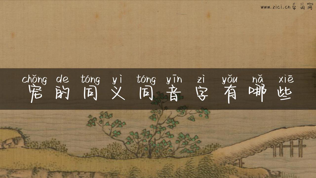 宠的同义同音字有哪些