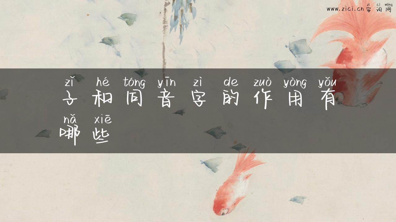 子和同音字的作用有哪些