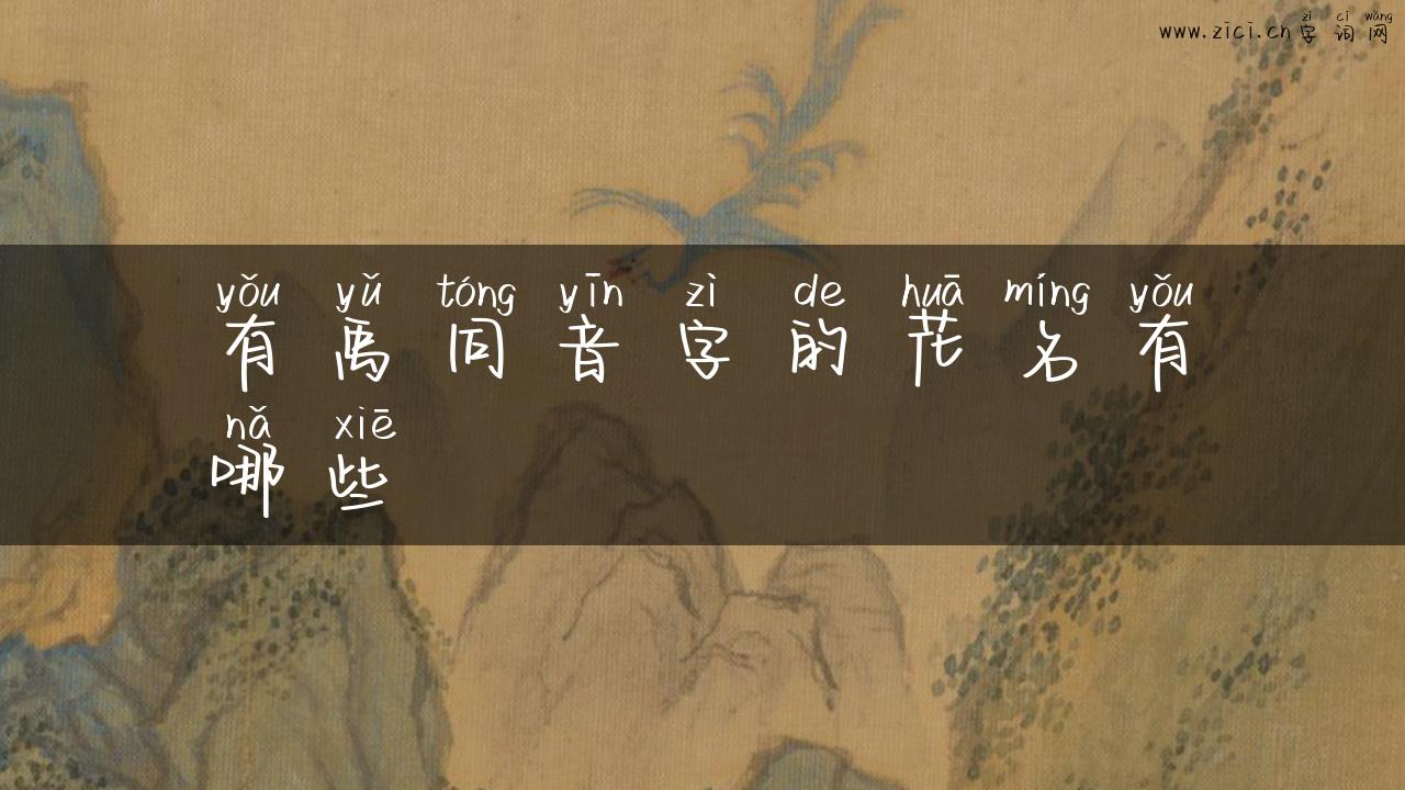 有禹同音字的花名有哪些