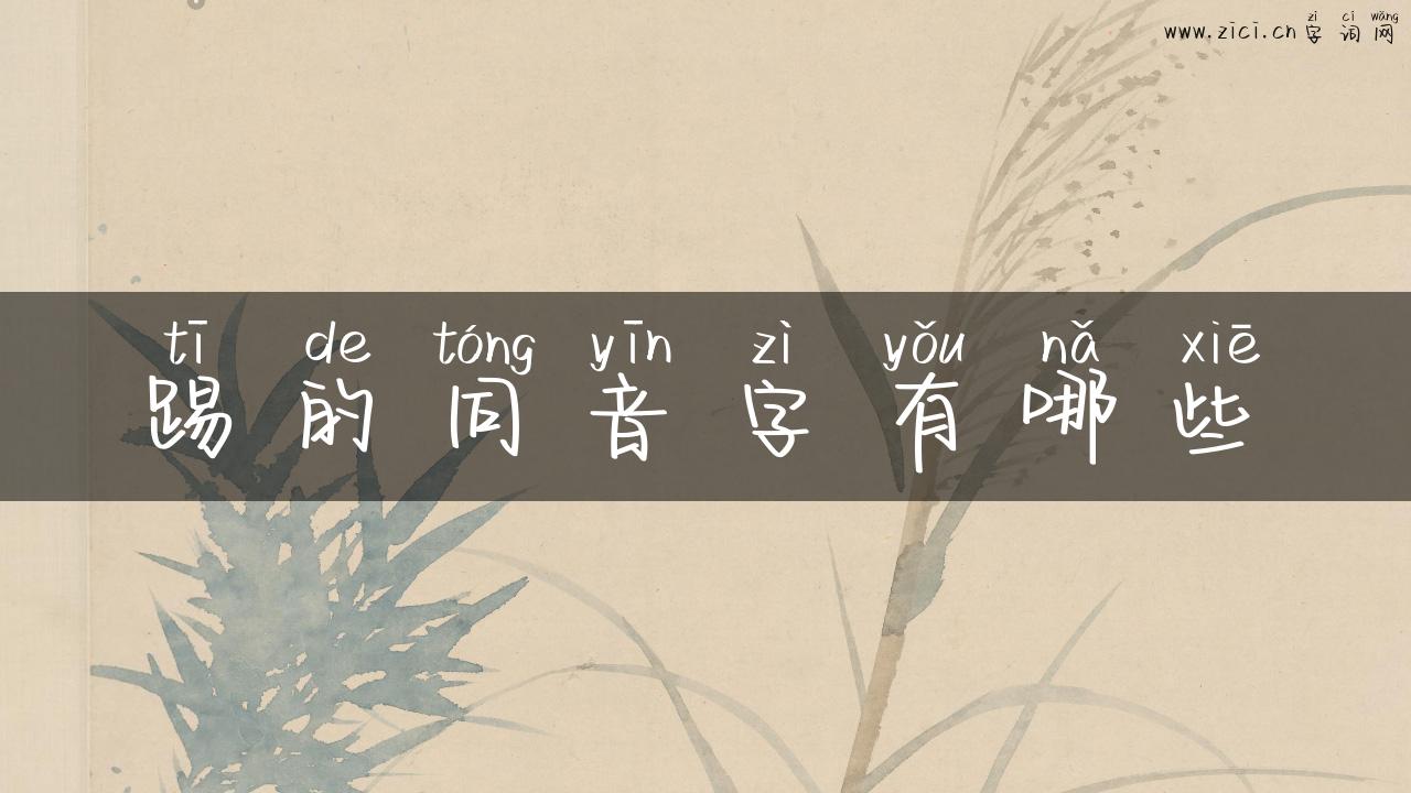 踢的同音字有哪些