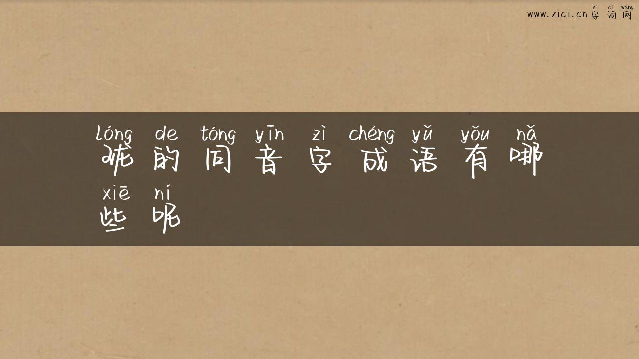 珑的同音字成语有哪些呢