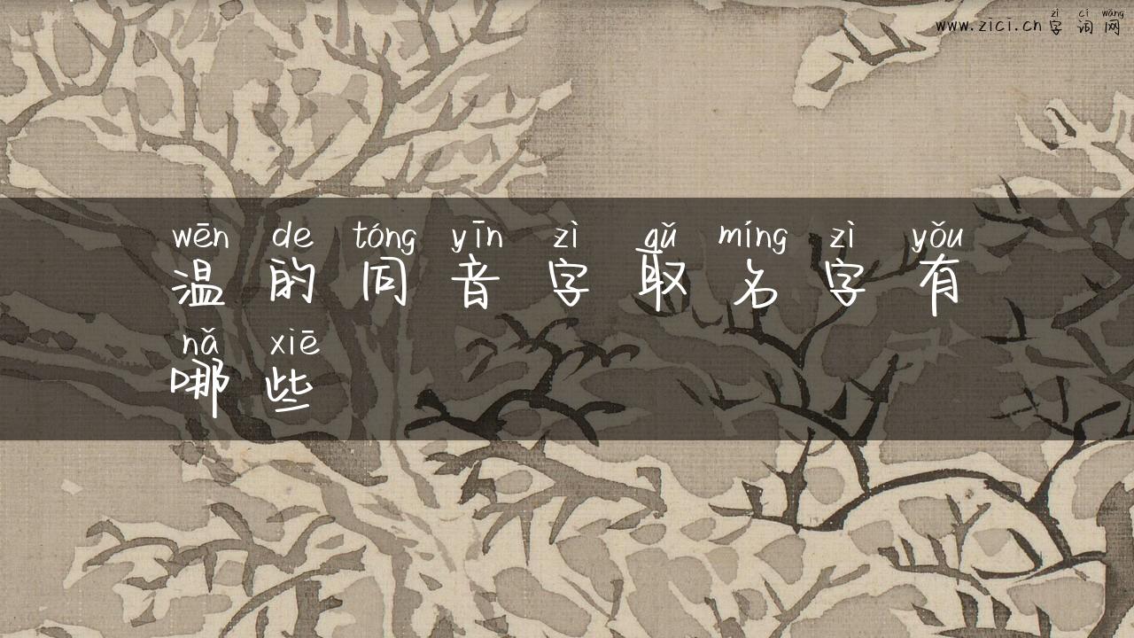 温的同音字取名字有哪些