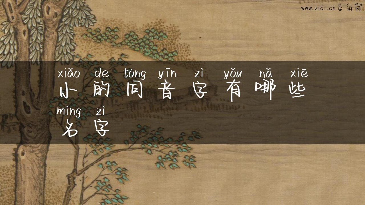 小的同音字有哪些名字