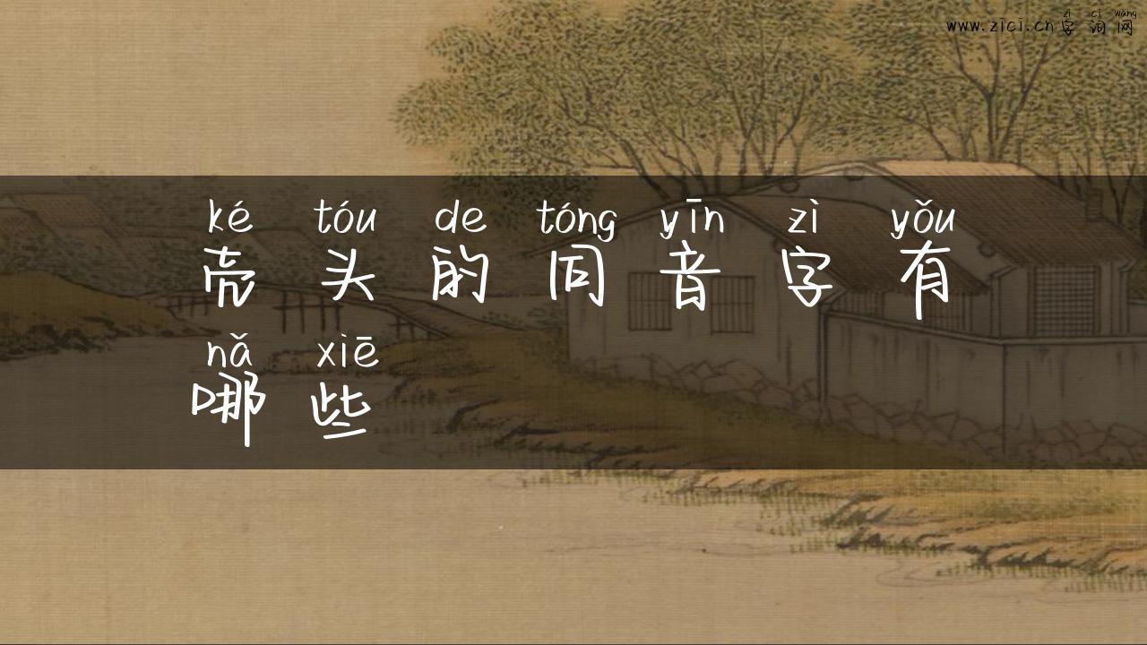 壳头的同音字有哪些