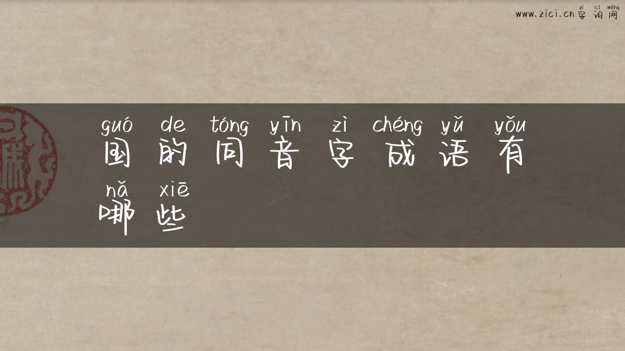 国的同音字成语有哪些