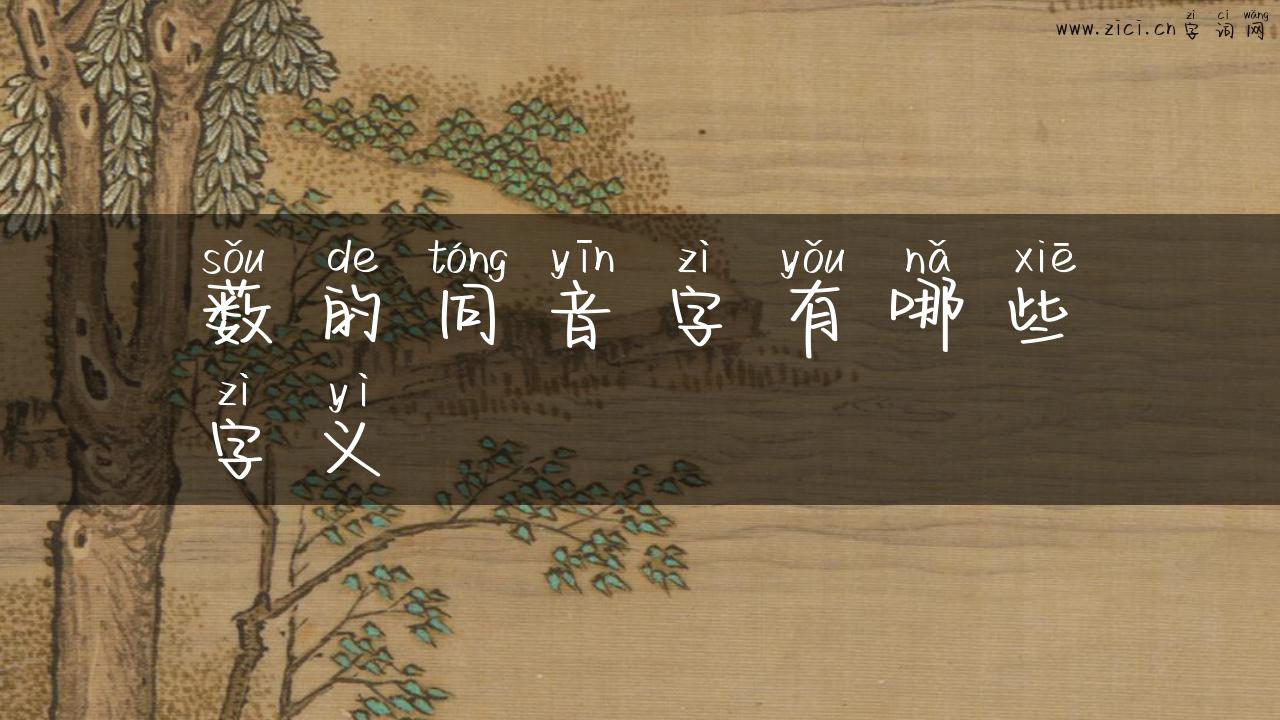 薮的同音字有哪些字义