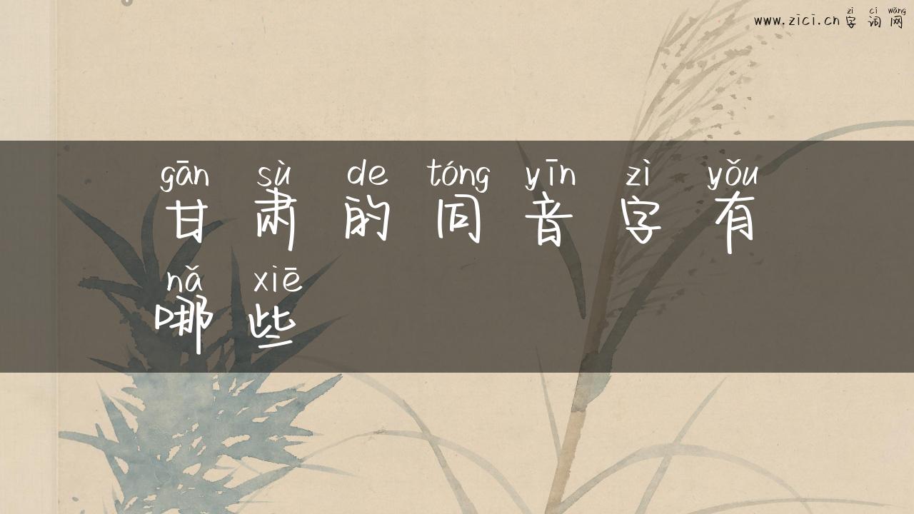 甘肃的同音字有哪些