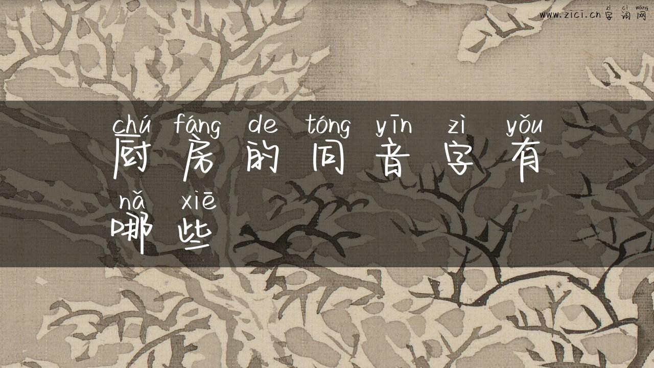 厨房的同音字有哪些