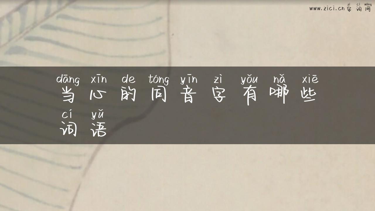 当心的同音字有哪些词语