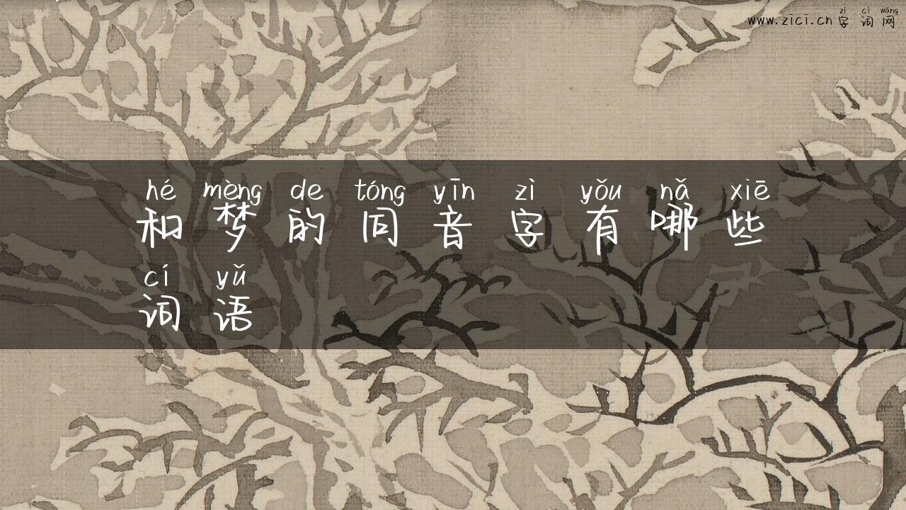 和梦的同音字有哪些词语