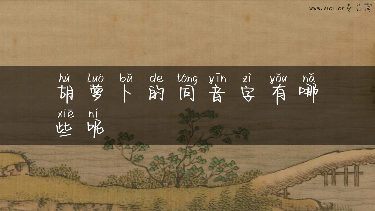 胡萝卜的同音字有哪些呢