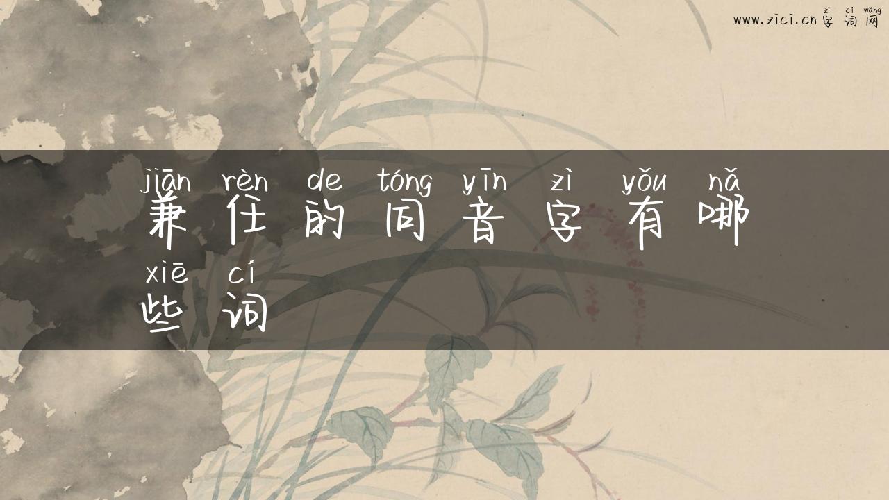 兼任的同音字有哪些词