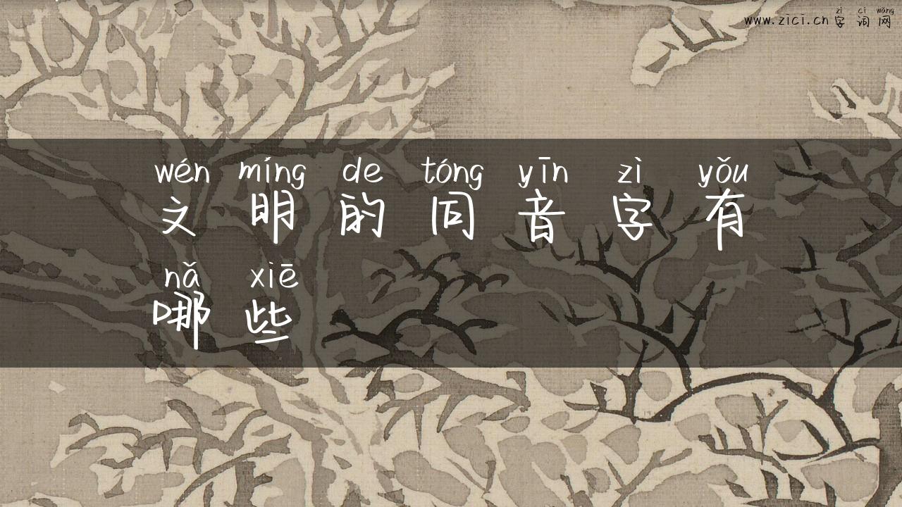 文明的同音字有哪些