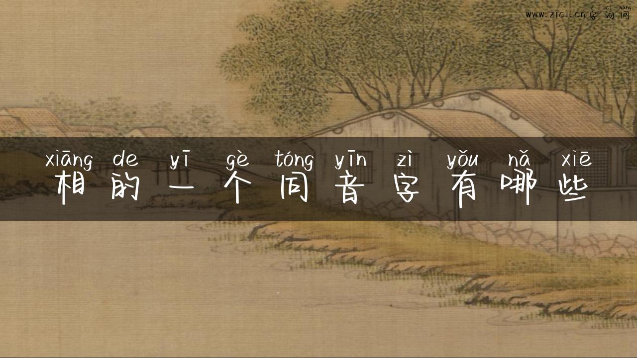 相的一个同音字有哪些