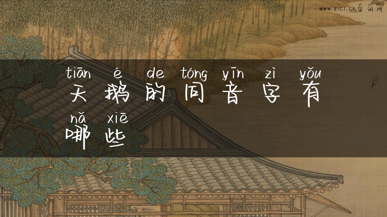 天鹅的同音字有哪些