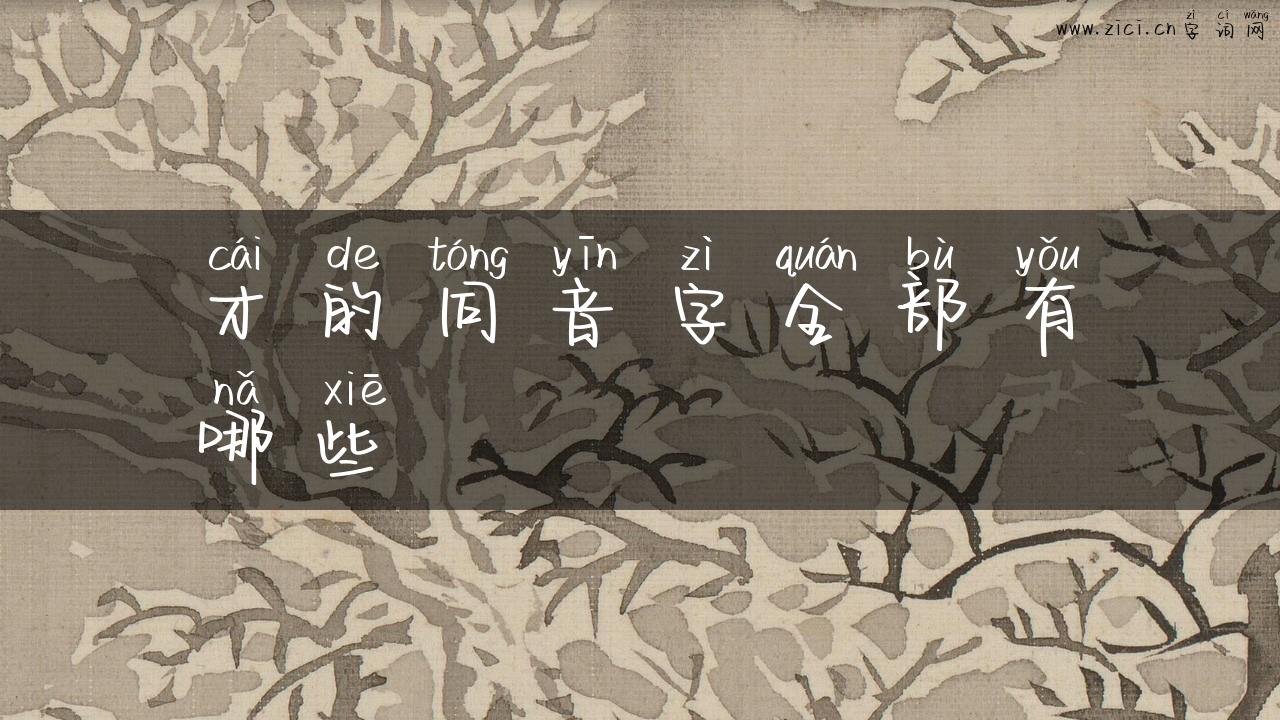 才的同音字全部有哪些