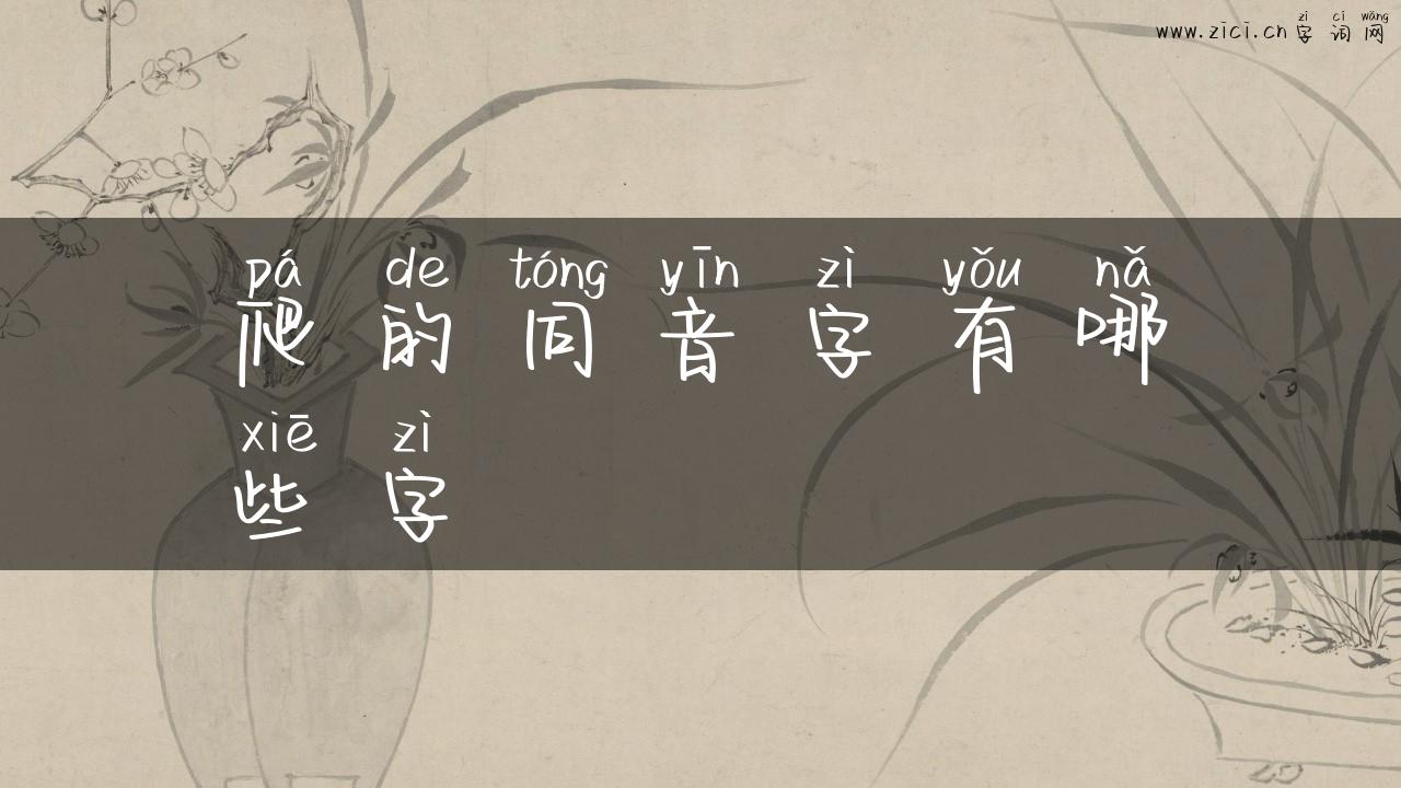 爬的同音字有哪些字
