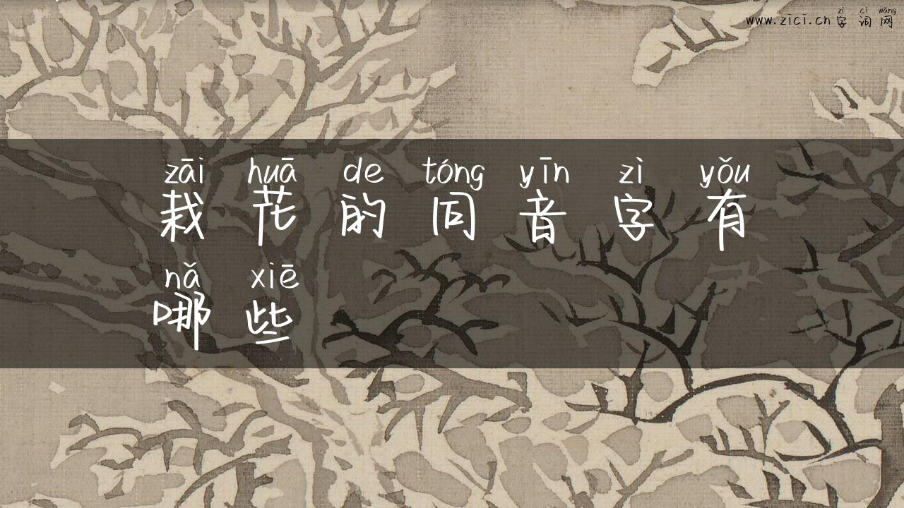 栽花的同音字有哪些