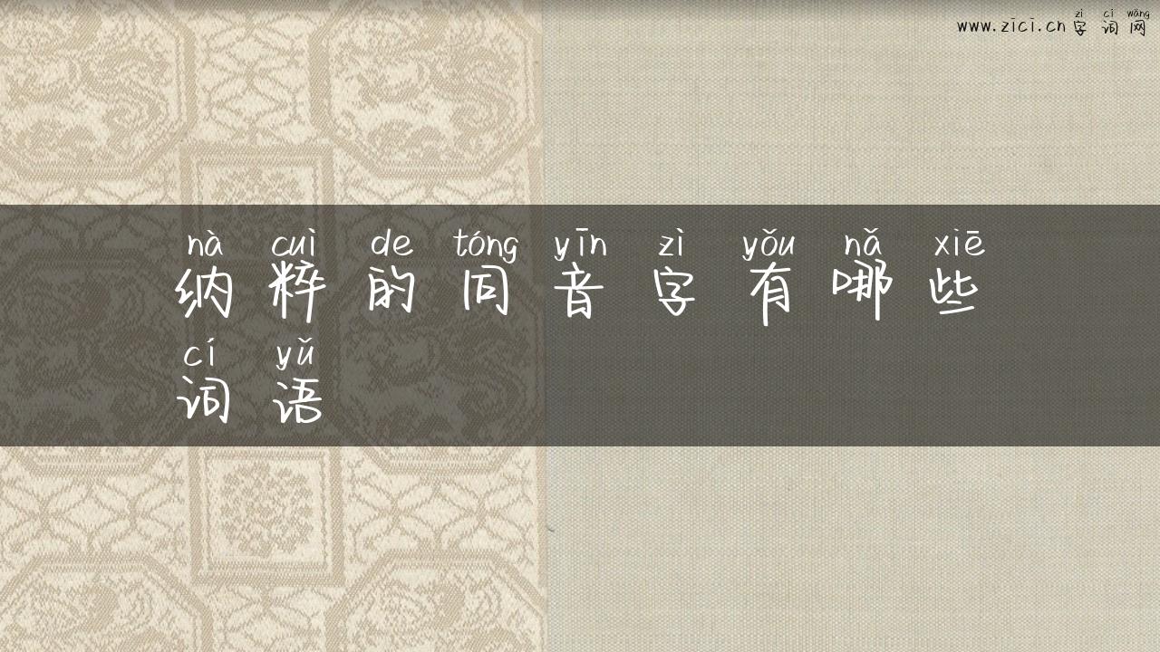 纳粹的同音字有哪些词语
