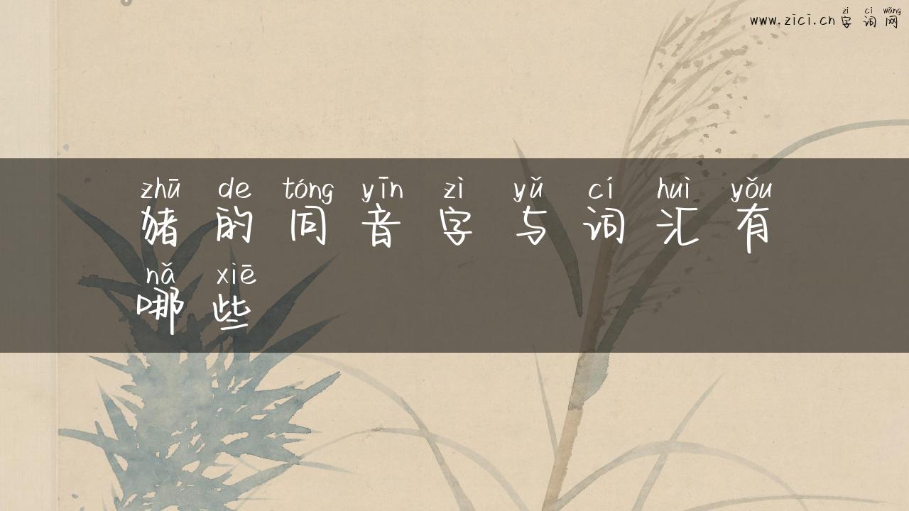 猪的同音字与词汇有哪些
