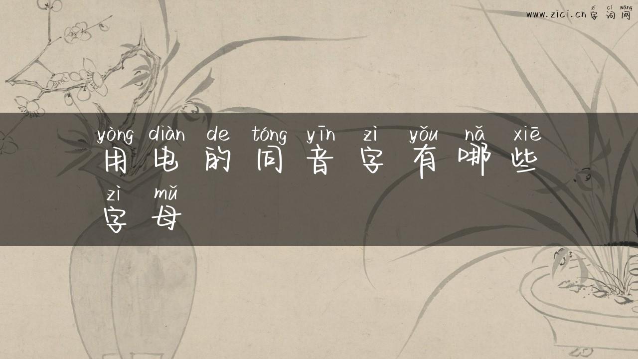 用电的同音字有哪些字母